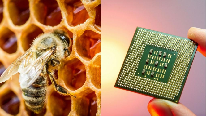 Tin công nghệ: Chip mật ong thân thiện môi trường; Tản nhiệt “ngâm nước” Gigabyte; CPU 6 nhân là “quốc dân”; gaming pc